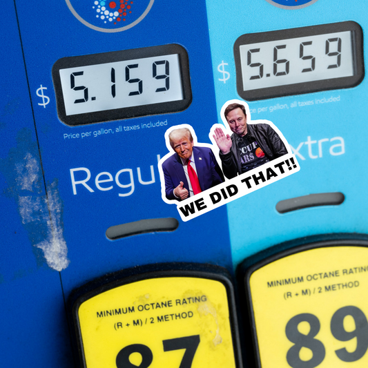 We Did That Trump and Elon Sticker | 2" x 1.5"| Political Sticker | Vinyl Sticker | Water Resistant | Anti Trump | Meme Sticker
