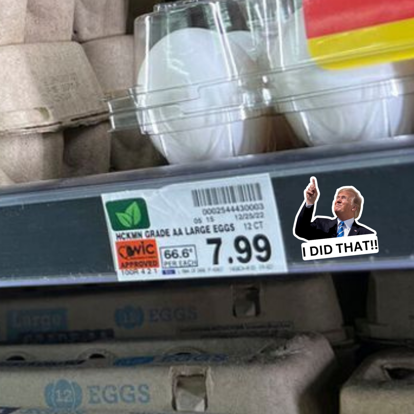 I Did That Trump Sticker | Pointing Sticker | Vinyl Sticker | Water Resistant | Anti Trump | Meme Sticker | Fdt