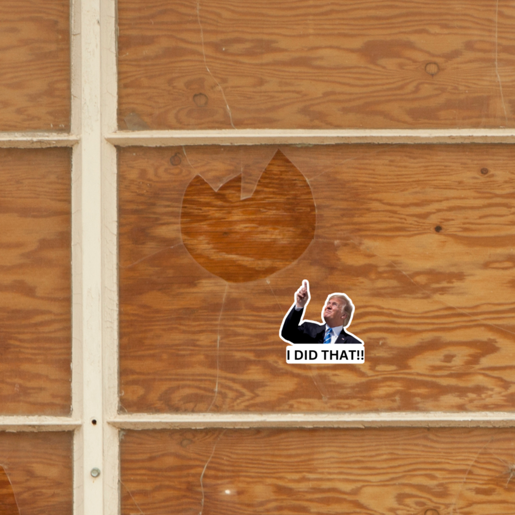 I Did That Trump Sticker | Pointing Sticker | Vinyl Sticker | Water Resistant | Anti Trump | Meme Sticker | Fdt