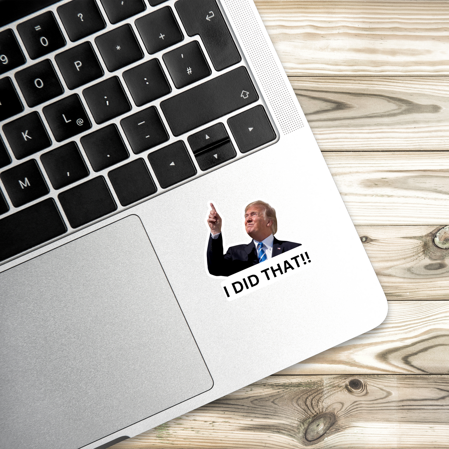 I Did That Trump Sticker | Pointing Sticker | Vinyl Sticker | Water Resistant | Anti Trump | Meme Sticker | Fdt