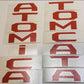 Premium Cast Vinyl Decal Letters for 2024-2025 Tacoma Door Emblems